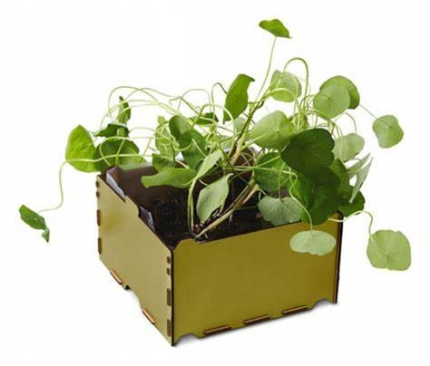 Pudełko, skrzynka, doniczka do uprawy roślin, Nasturcja. Tchibo box Pudełko, skrzynka, doniczka do uprawy roślin, Nasturcja. Tchibo box