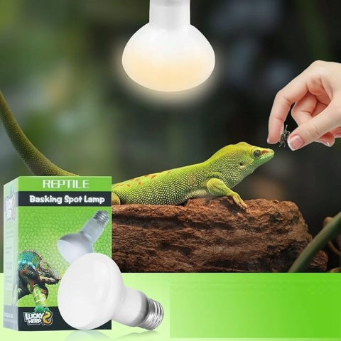 2x Żarówka do Terrarium Lampa Grzewcza UV dla Gadów 75W E27 Żółwie